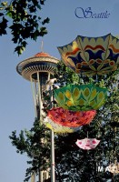 s.needle umbr.10by15