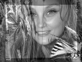 butterflyGBW1Gprintpinch