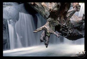 whatc park waterfall