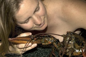 B lobstar portraitprint