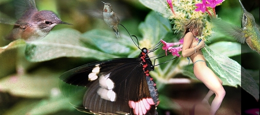 Něco dal&scaron;&iacute;ho ... Something else